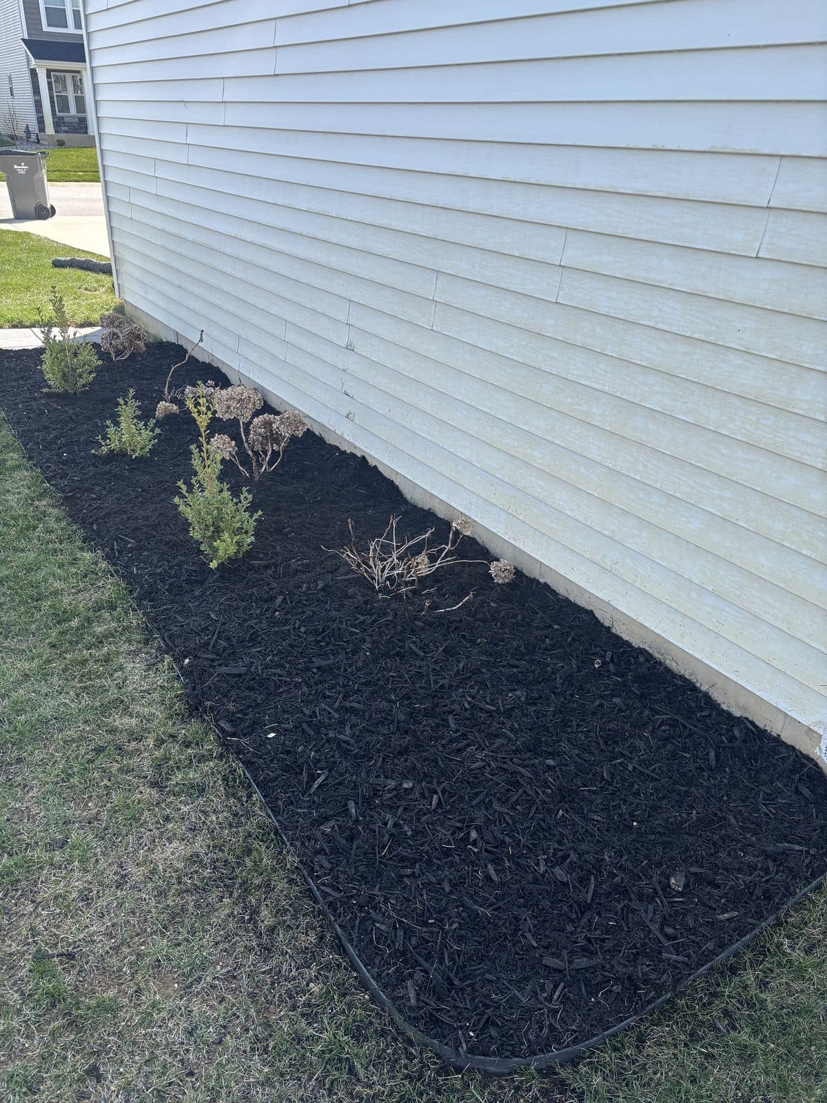 Freshly installed dark mulch beds with crisp edging along the side of a home, by Fresh Cut Lawns