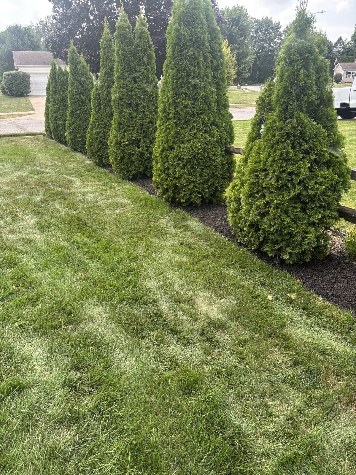 Freshly mulched and sharply edged landscape beds installed by Fresh Cut Lawns.
