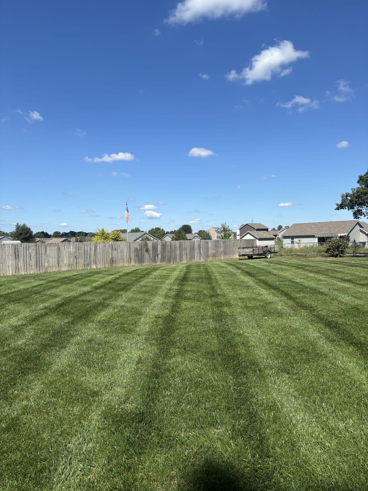 A residential lawn freshly mowed with clean, straight mowing stripes by Fresh Cut Lawns.