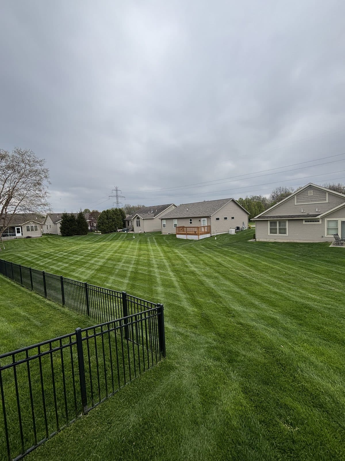 A residential lawn freshly mowed with clean, straight mowing stripes by Fresh Cut Lawns.