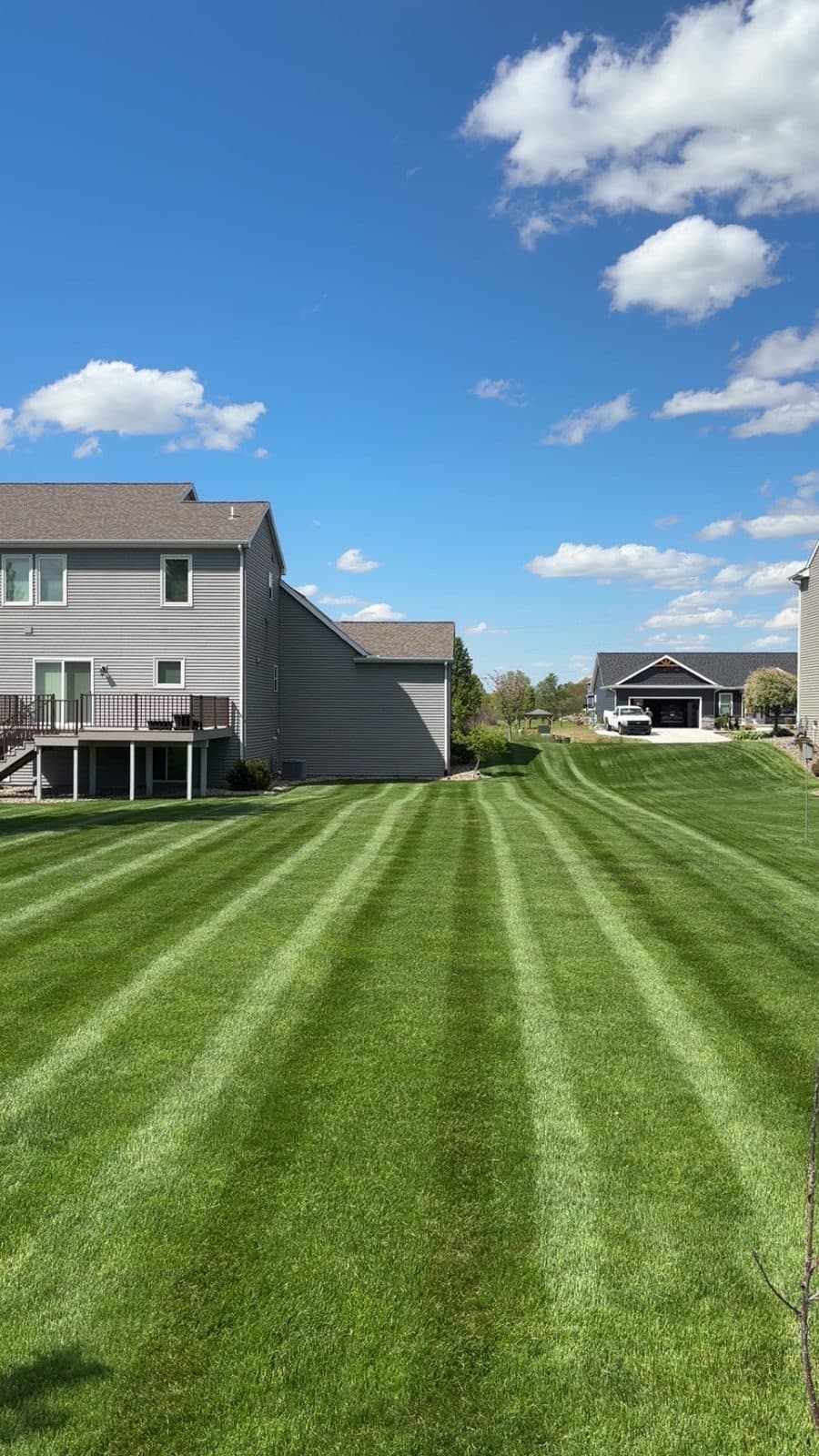 A residential lawn freshly mowed with clean, straight mowing stripes by Fresh Cut Lawns.