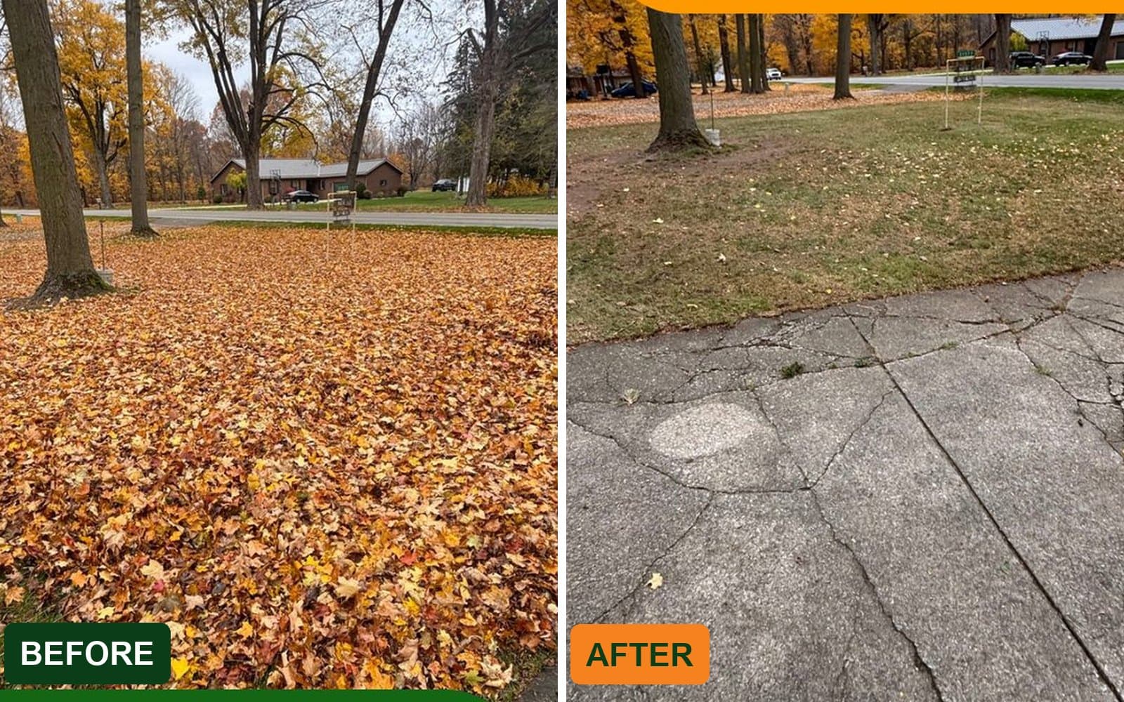 Before and after of a Fresh Cut Lawns fall cleanup: a leaf-covered lawn on the left cleared to clean grass on the right